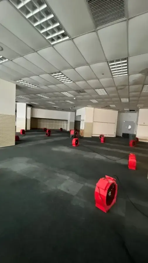 Air movers drying a room after a leak in an Inglewood, CA home